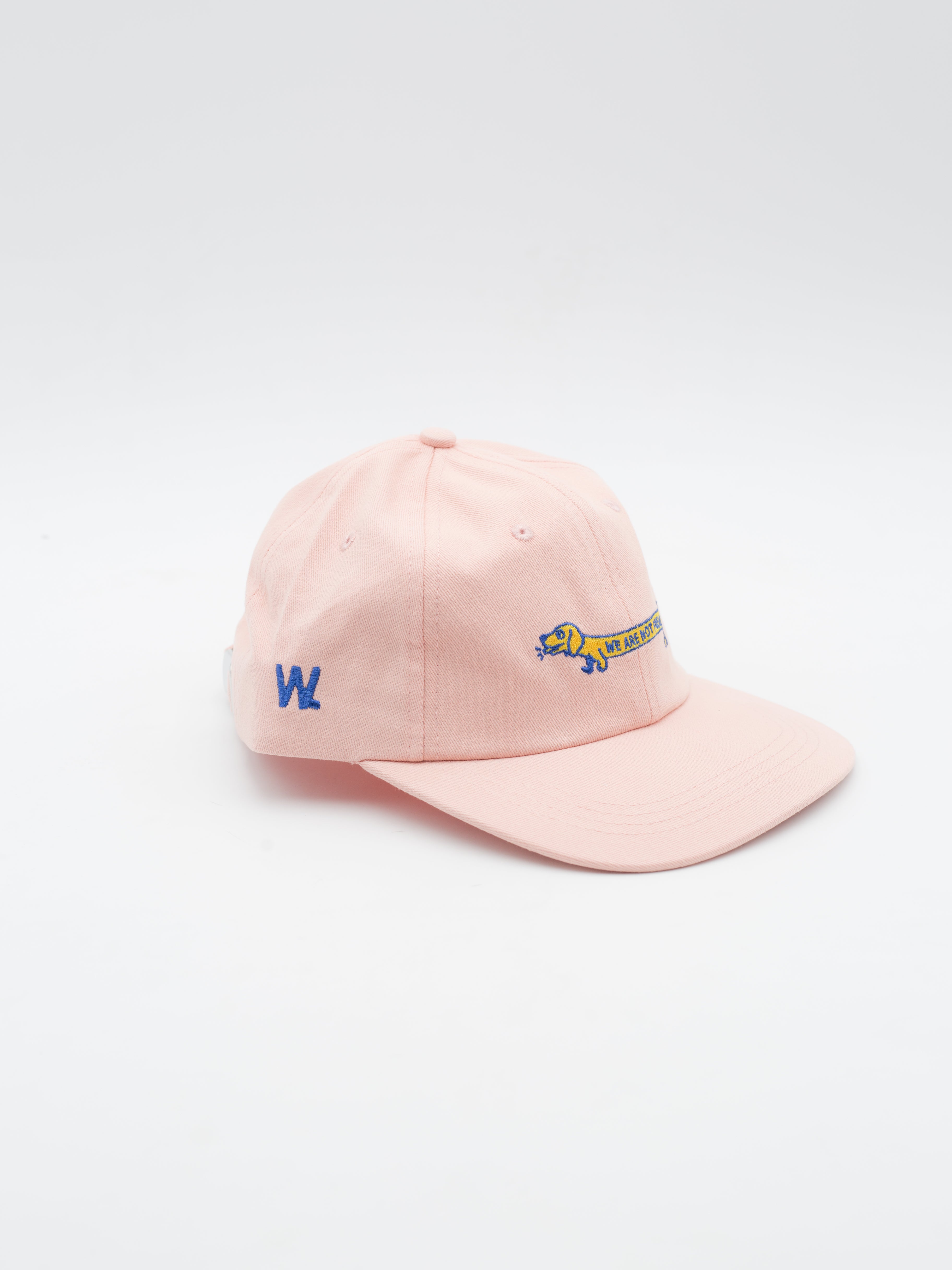 Doggy Hat Pink