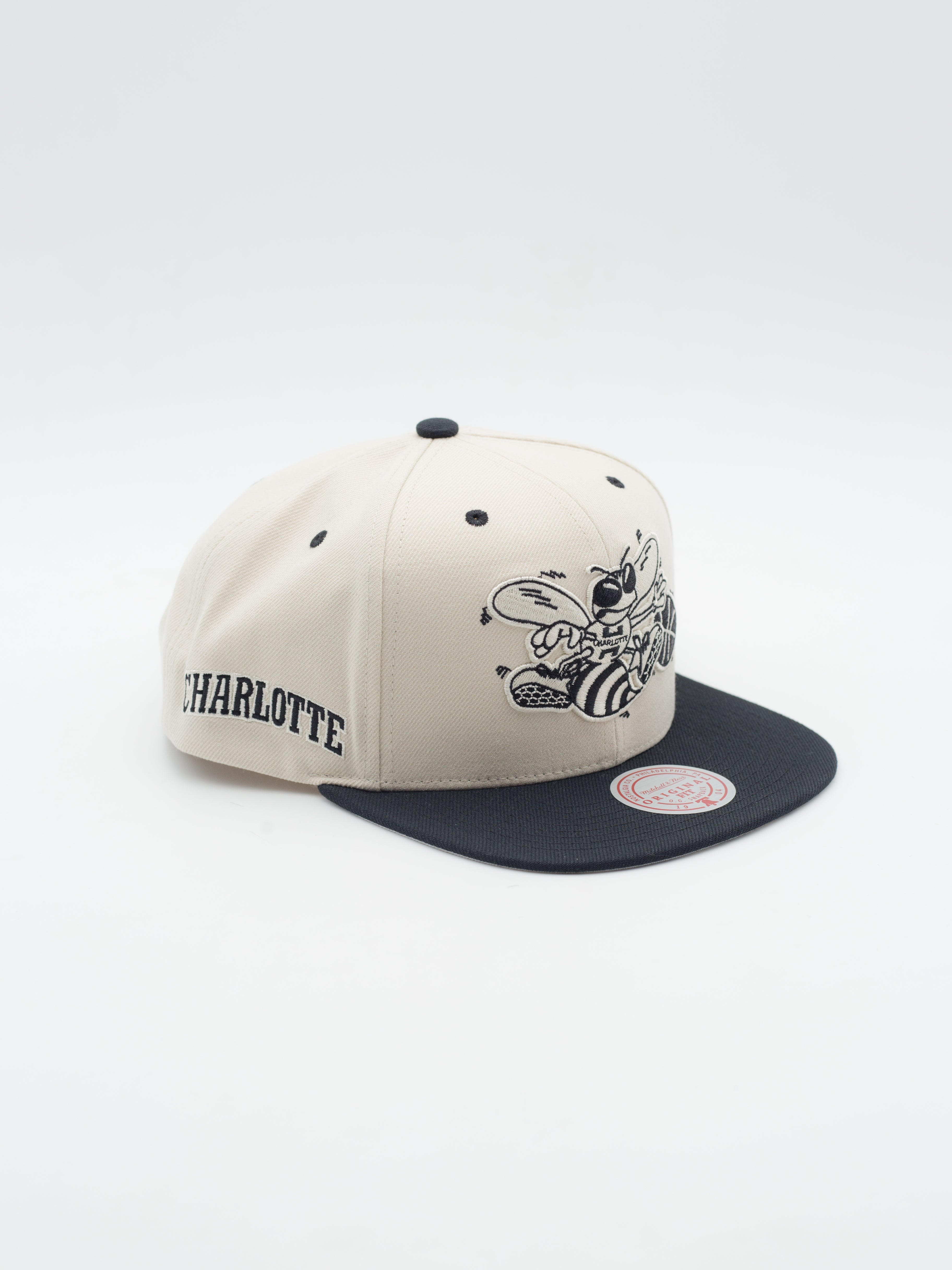 Evergreen Charlotte Hornets Snapback Cream/Black