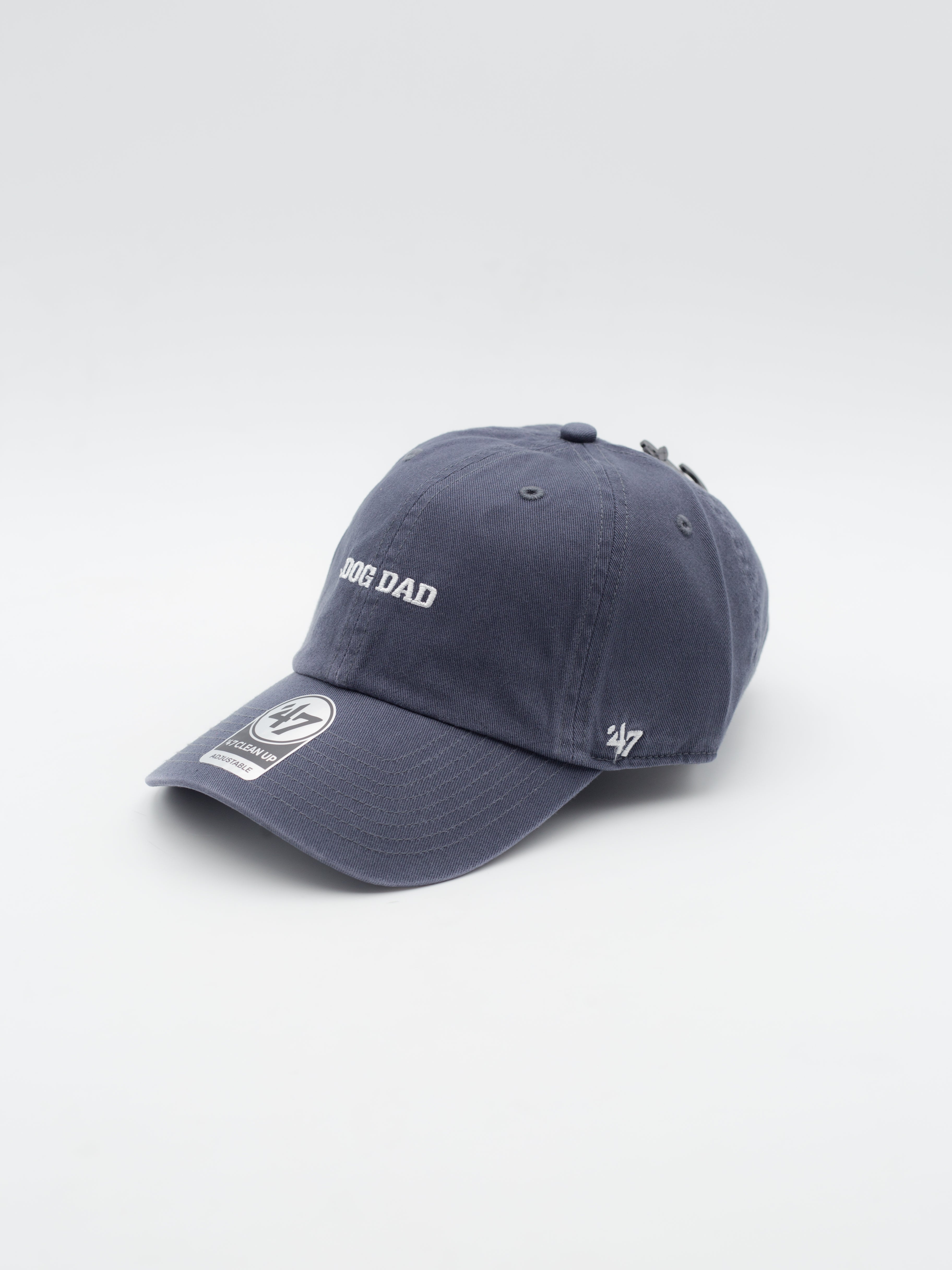 CLEAN UP Dog Dad Vintage Navy