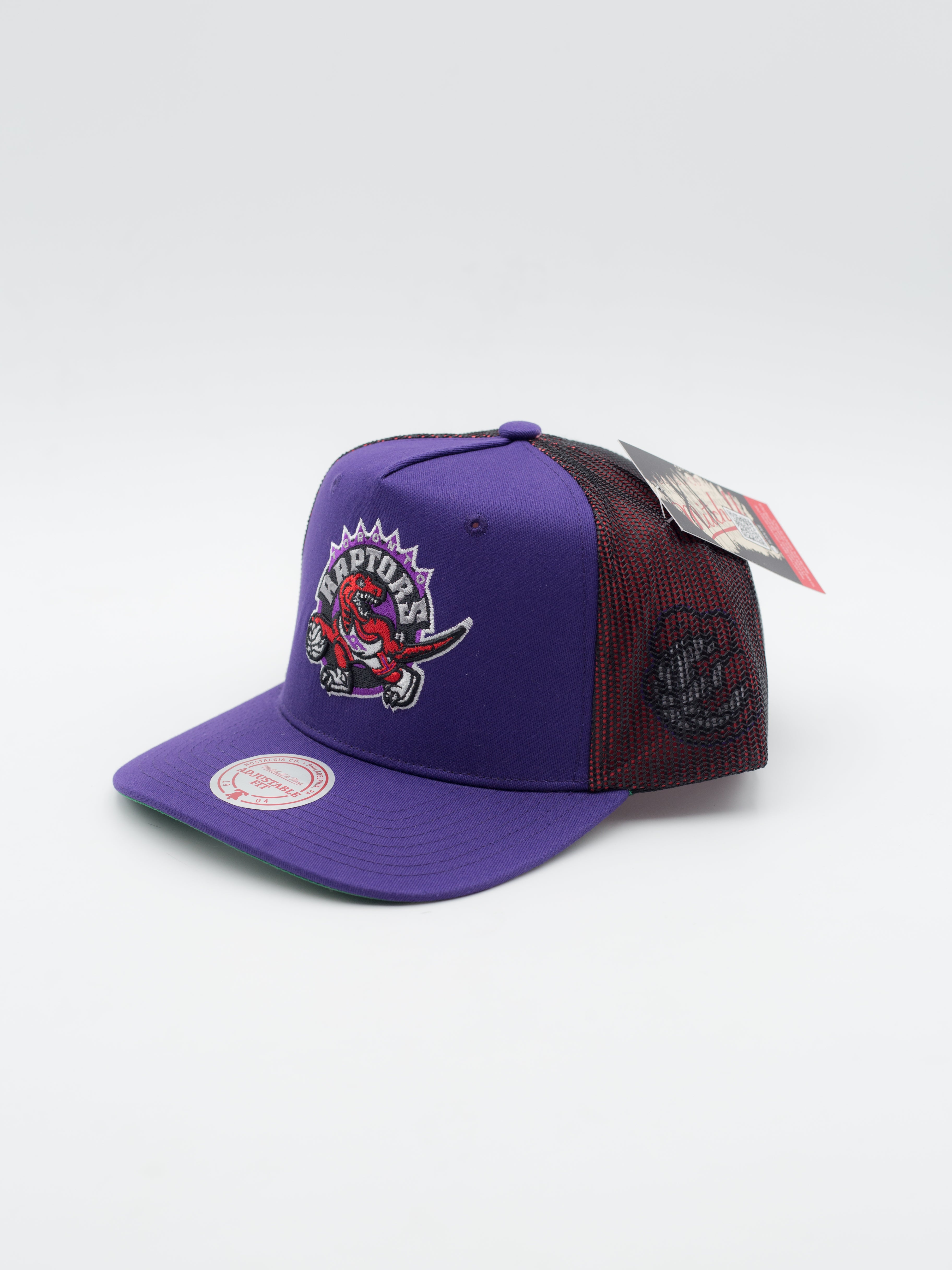 Tremor Trucker Toronto Raptors Purple