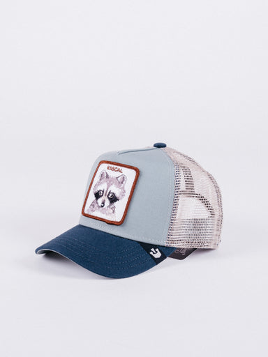 gorra goorin bros de niño little rascal blue navy beige parche mapache visera curva rejilla animales