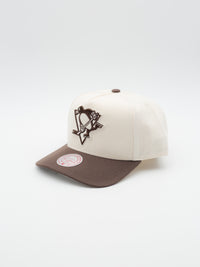 Fashion Basic 2T Pro Pittsburgh Penguins Snapback