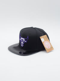 Day 11 Chicago Bulls Snapback