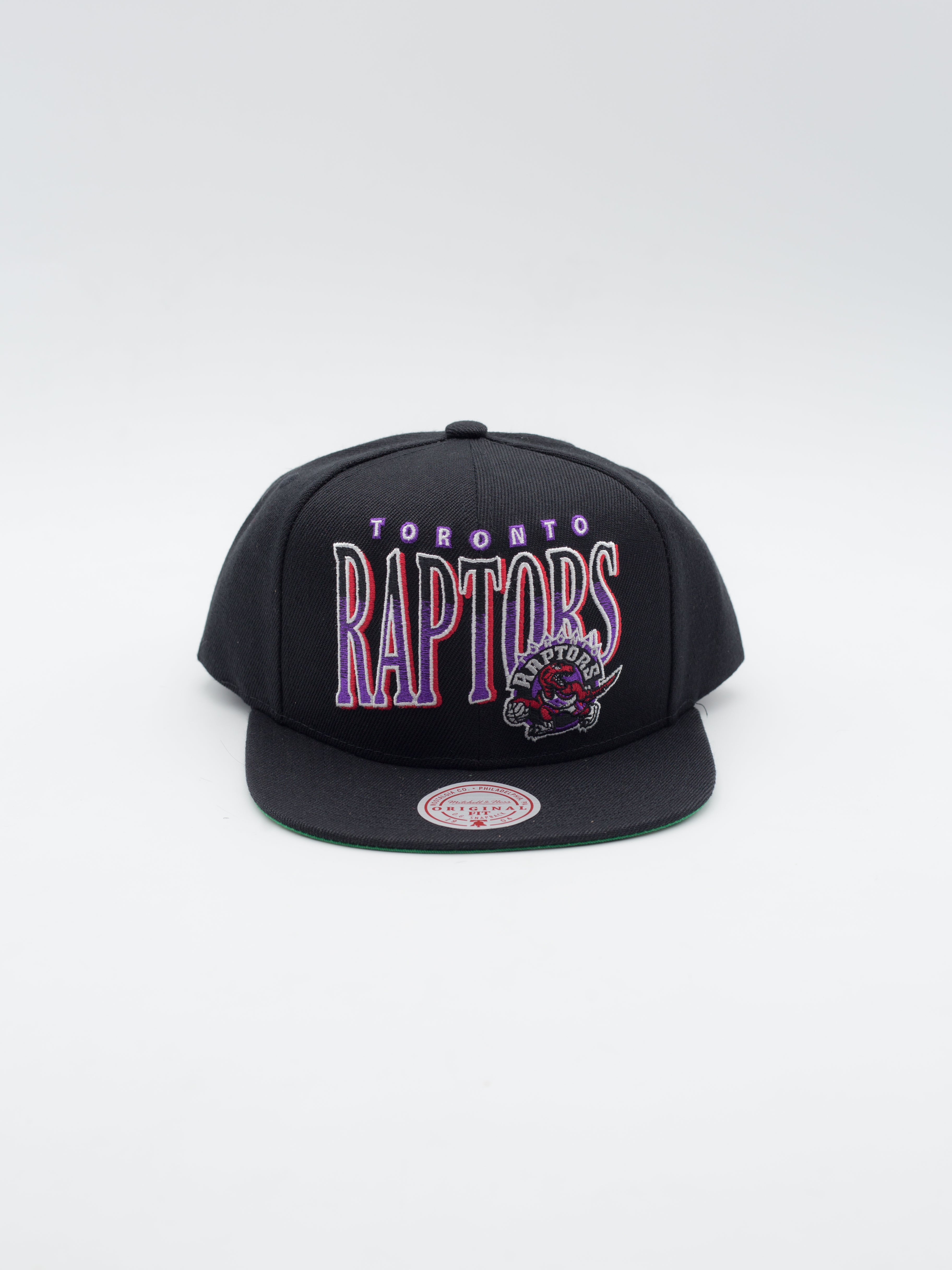 Line Work Toronto Raptors Snapback