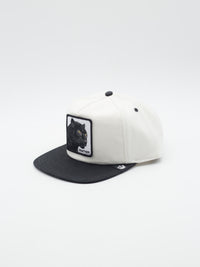 Stealth Explorer Snapback 