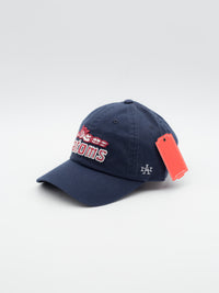 Sankei Atoms Dad Hat