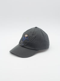 Polo Bear Ski Dad Hat Grey