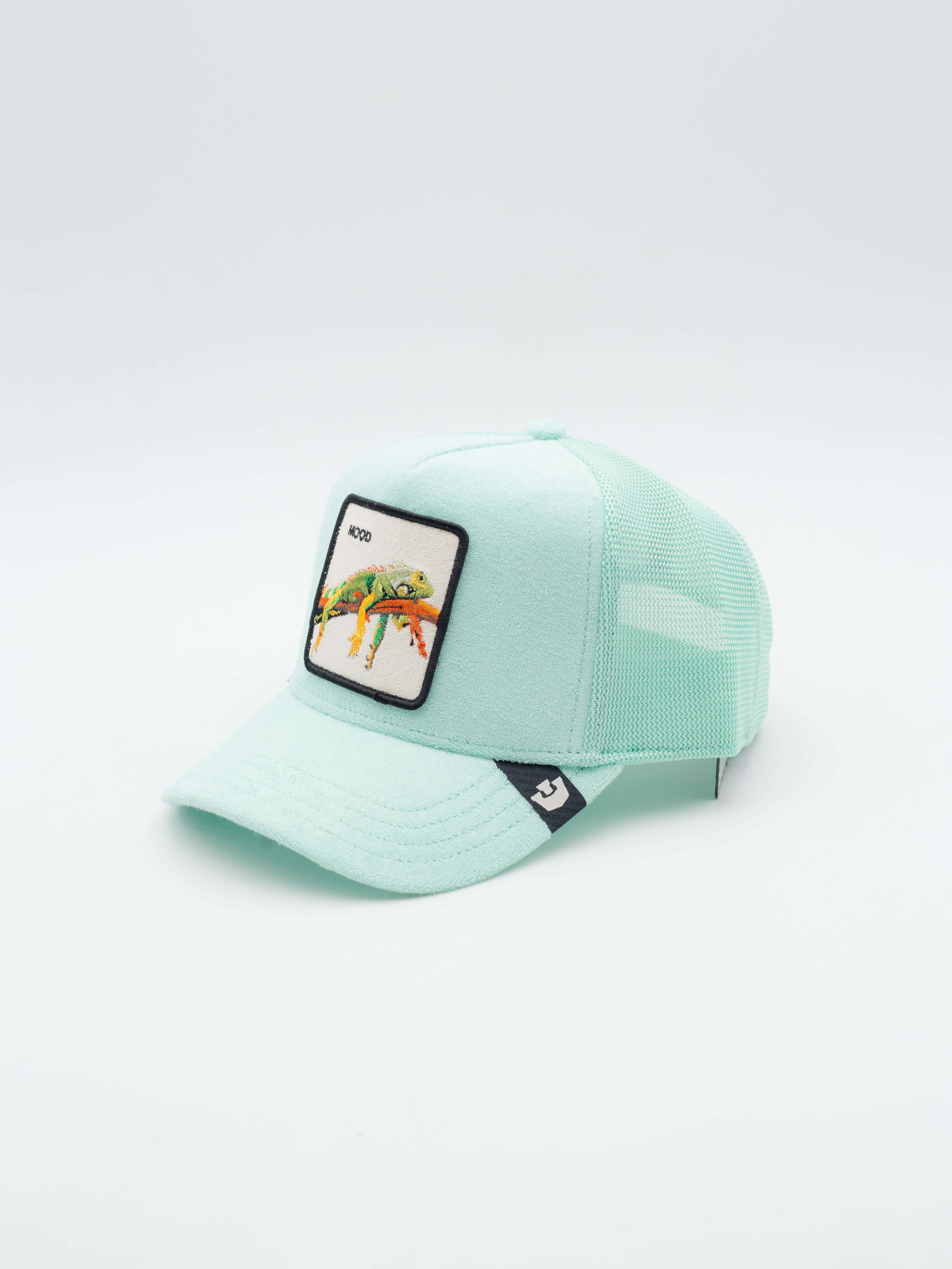 Terry Cloth Iguana Trucker Turquoise