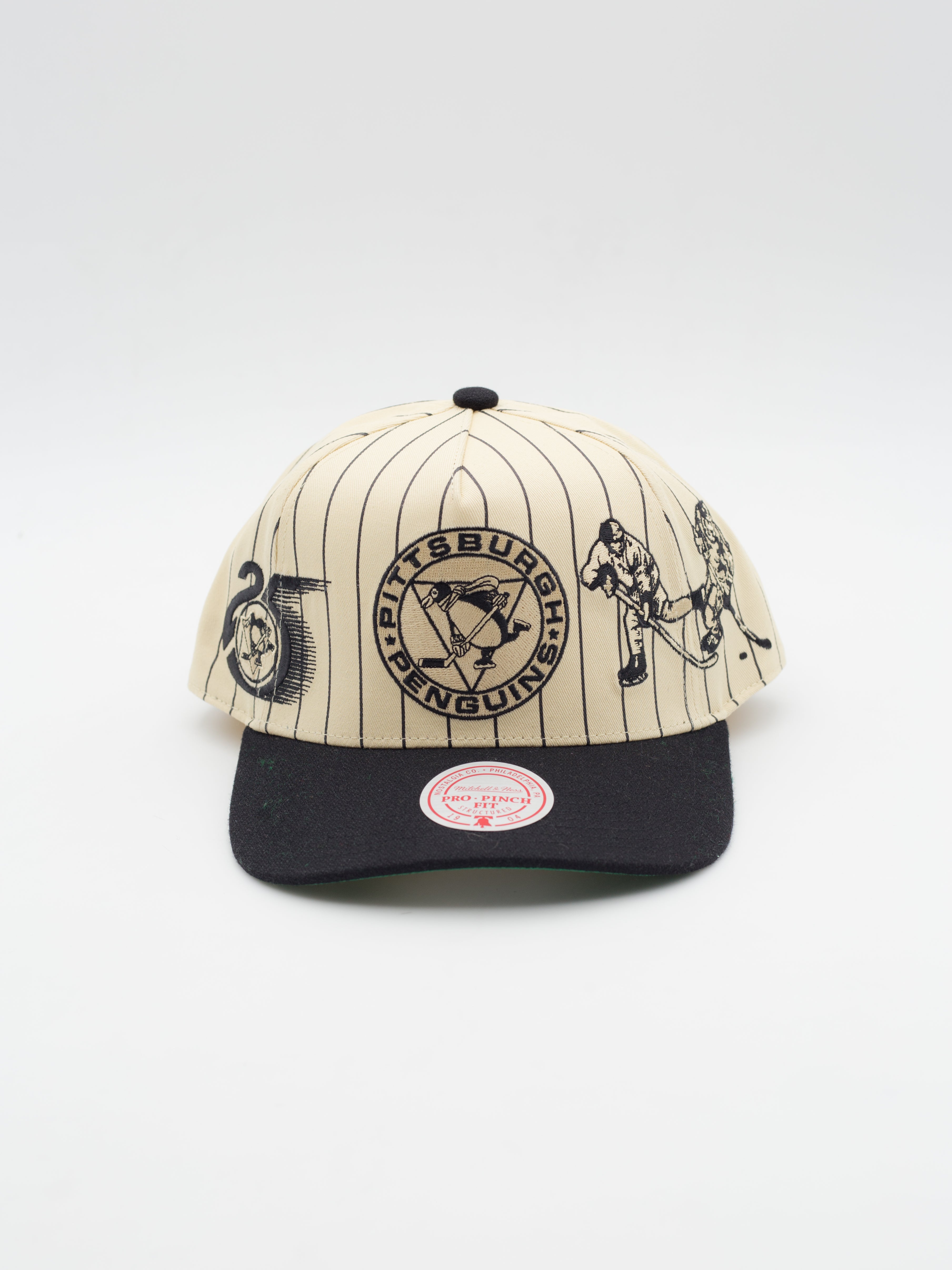 Pro Pinch Retro Roots Stripe Pittsburgh Penguins Snapback