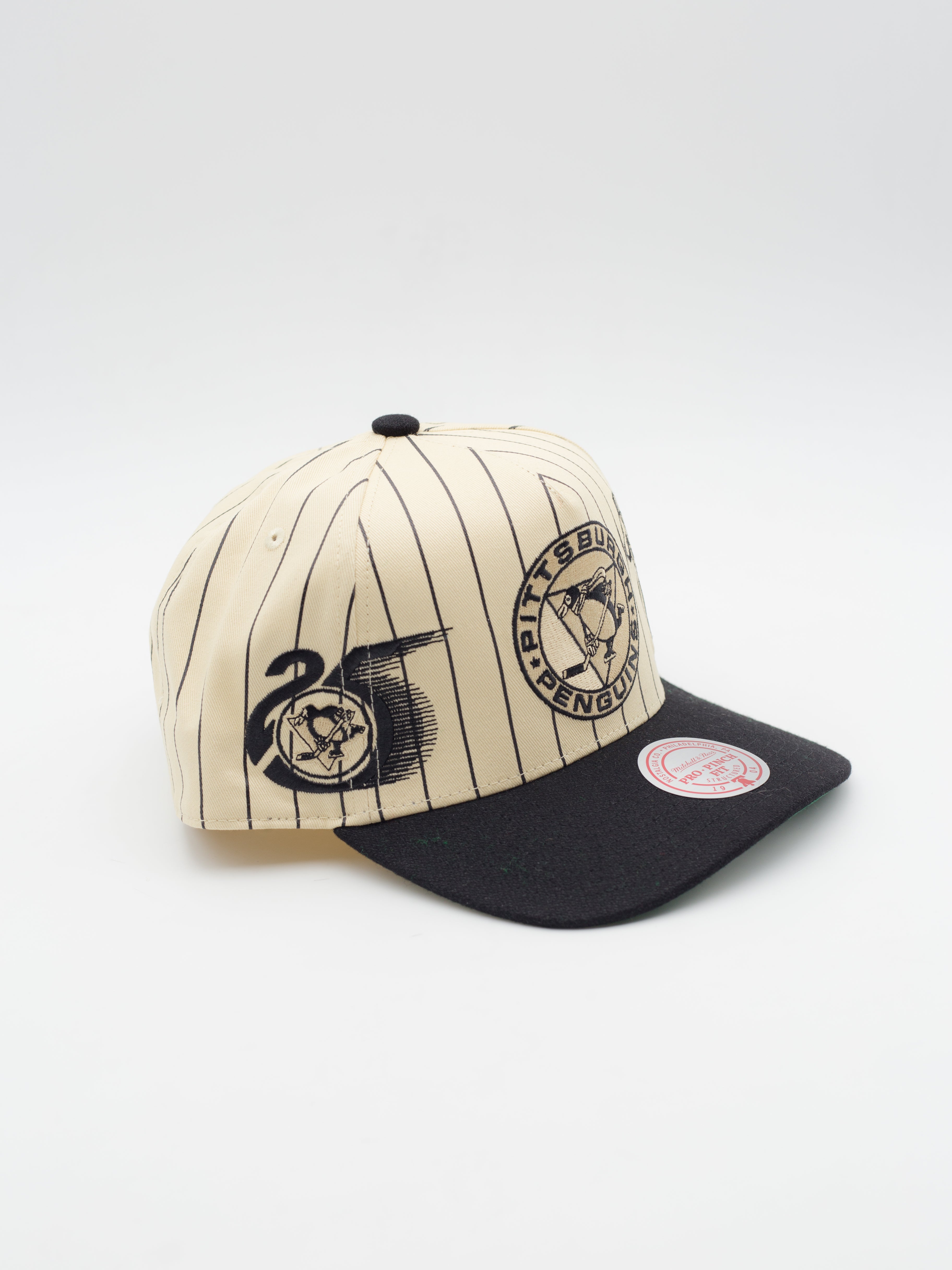 Pro Pinch Retro Roots Stripe Pittsburgh Penguins Snapback