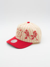 Pro Pinch Retro Roots Stripe Chicago Blackhawks Snapback
