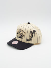 Pro Pinch Retro Roots Stripe Vancouver Grizzlies Snapback