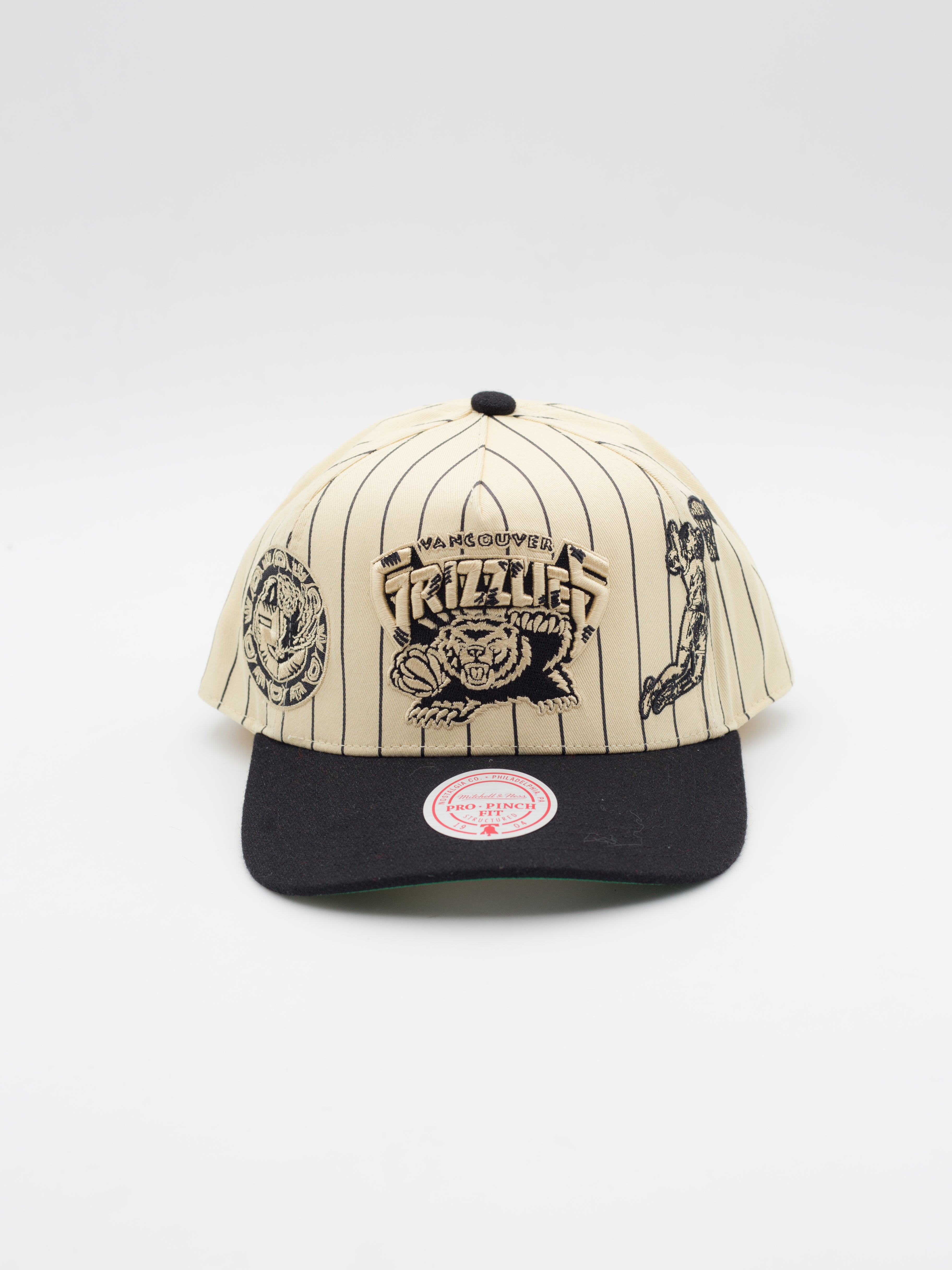 Pro Pinch Retro Roots Stripe Vancouver Grizzlies Snapback