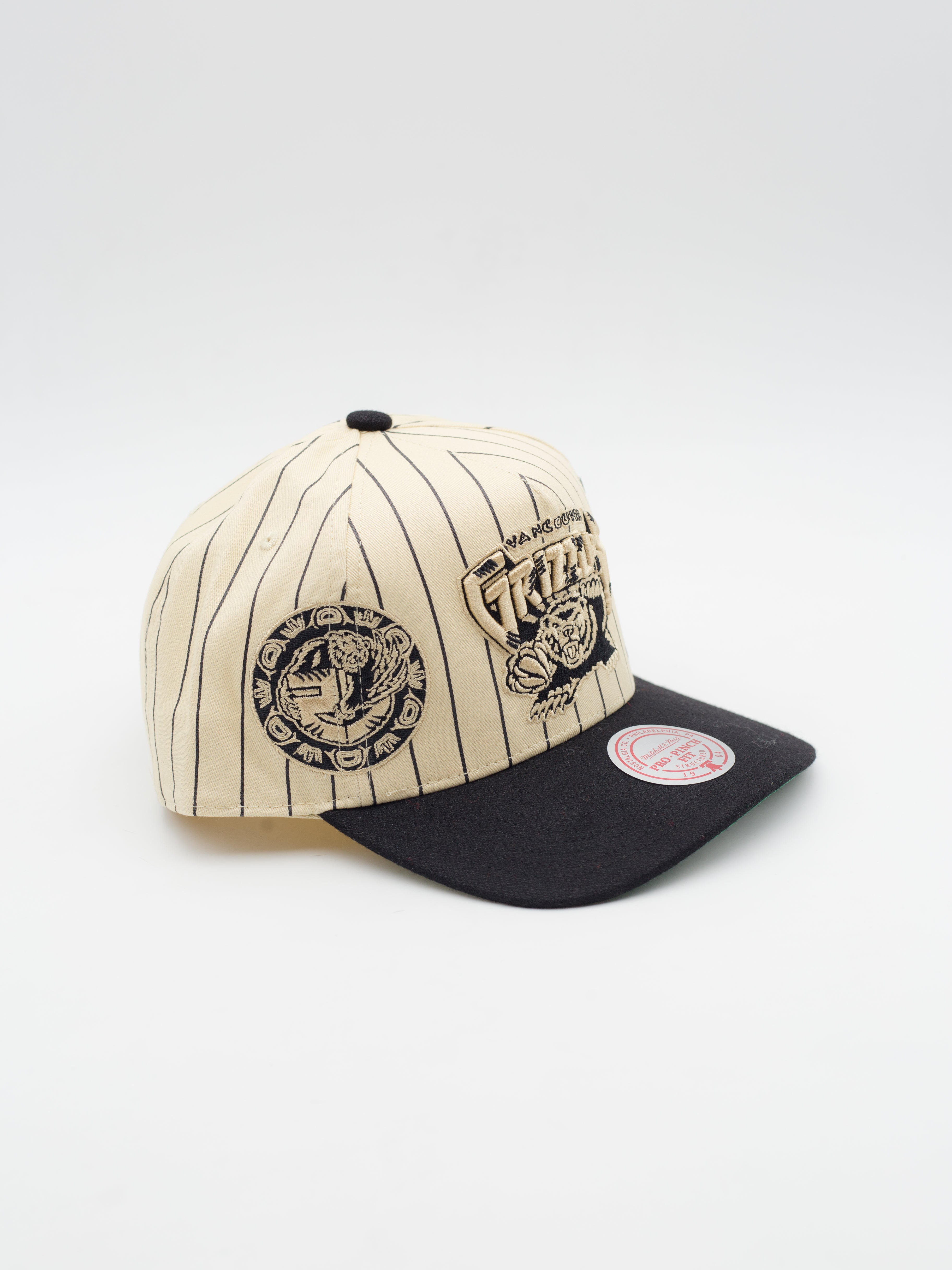 Pro Pinch Retro Roots Stripe Vancouver Grizzlies Snapback