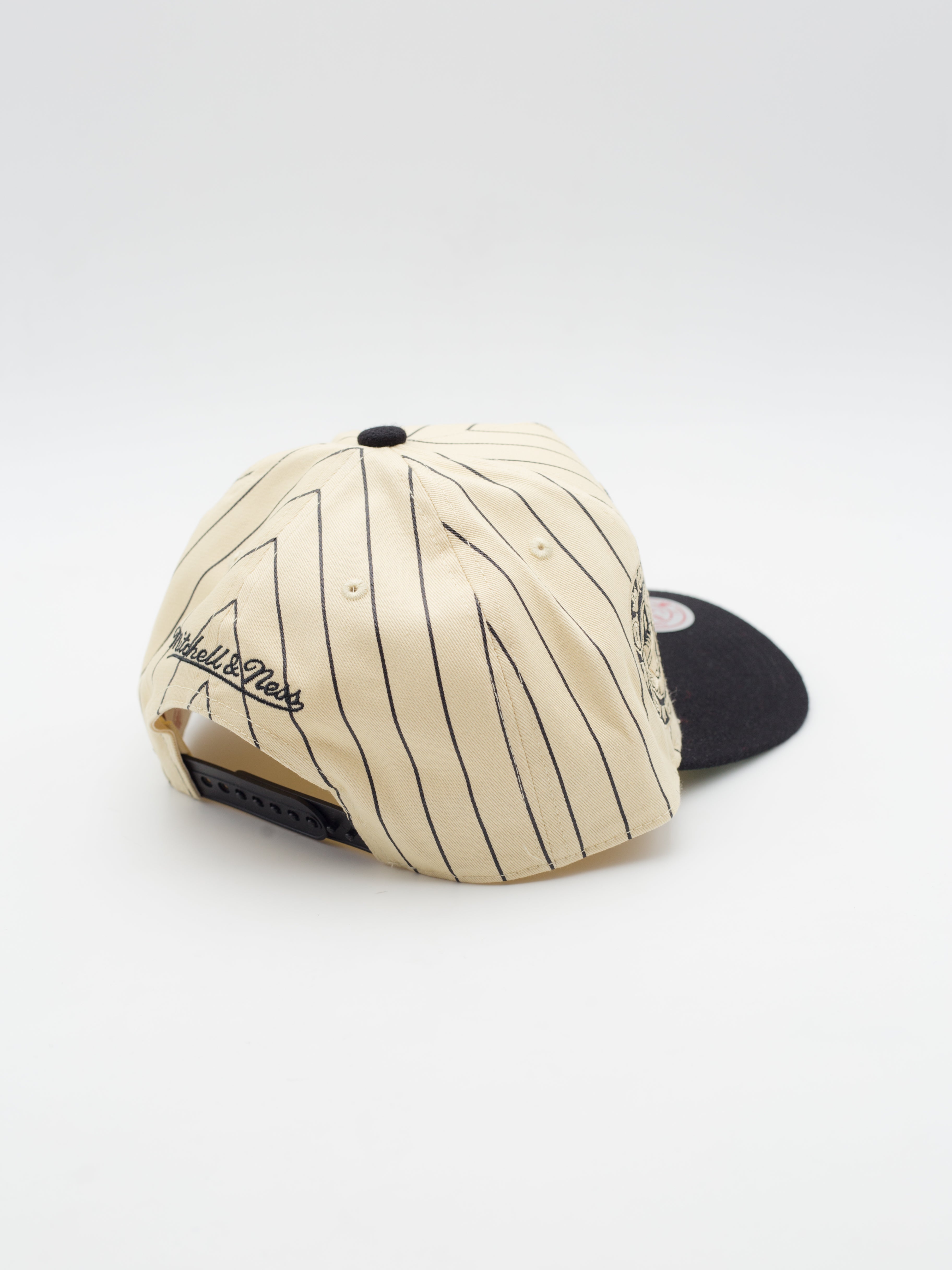 Pro Pinch Retro Roots Stripe Vancouver Grizzlies Snapback