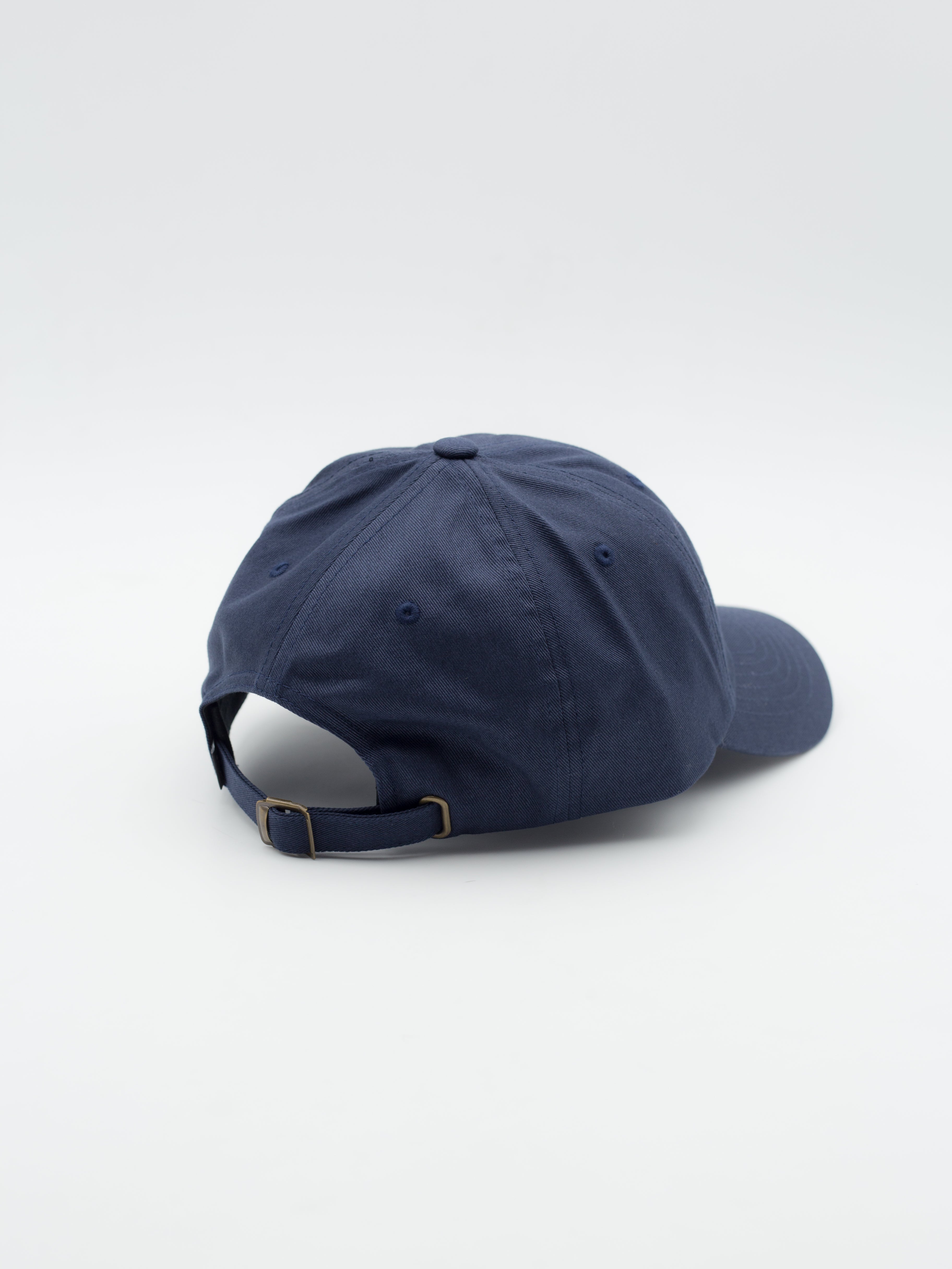 Atelier Crest 6 Panel CV