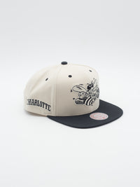 Evergreen Charlotte Hornets Snapback Cream/Black