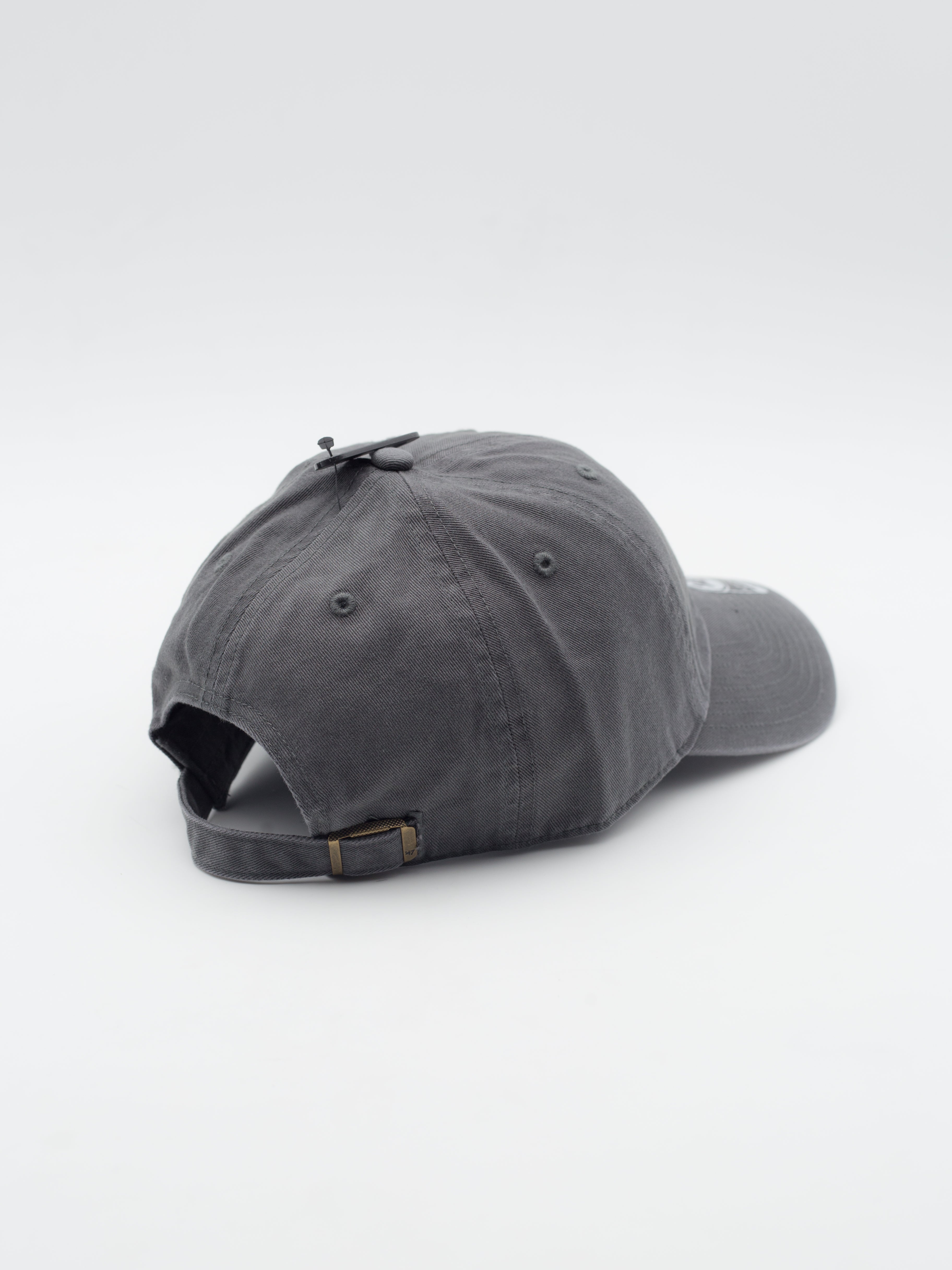 CLEAN UP Dog Teckel Grey