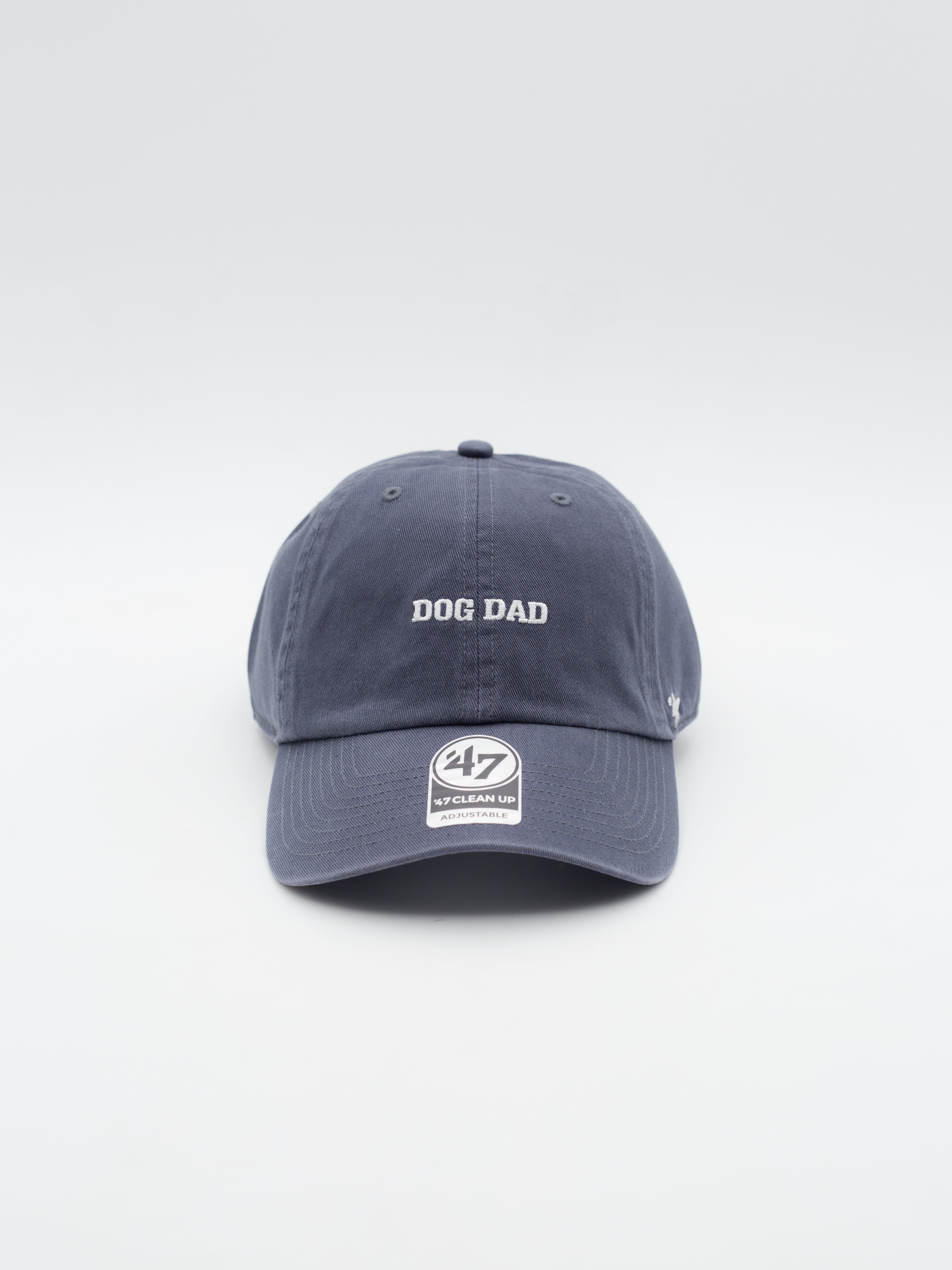 CLEAN UP Dog Dad Vintage Navy