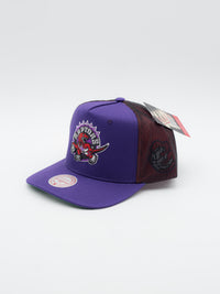 Tremor Trucker Toronto Raptors Purple