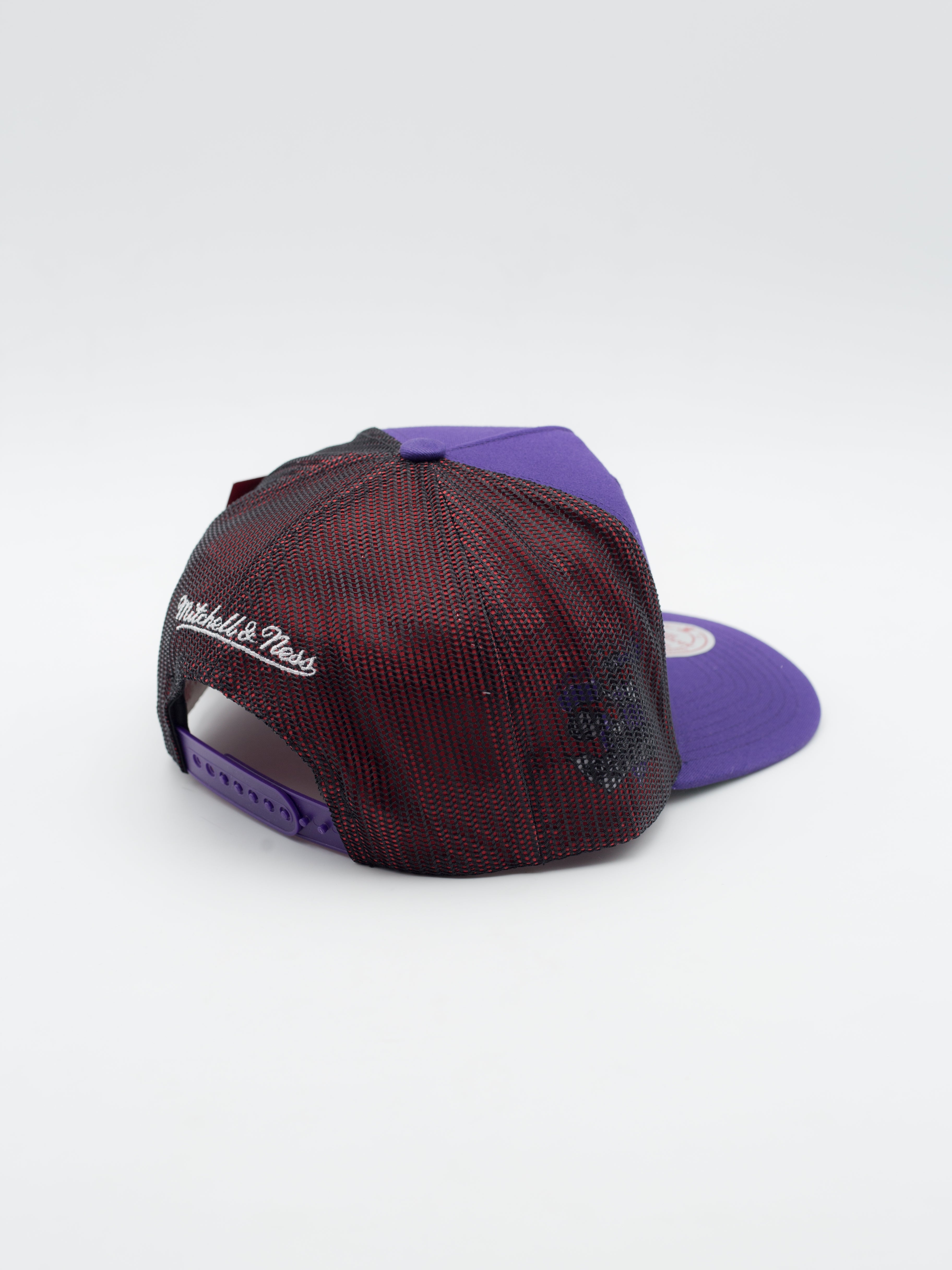 Tremor Trucker Toronto Raptors Purple