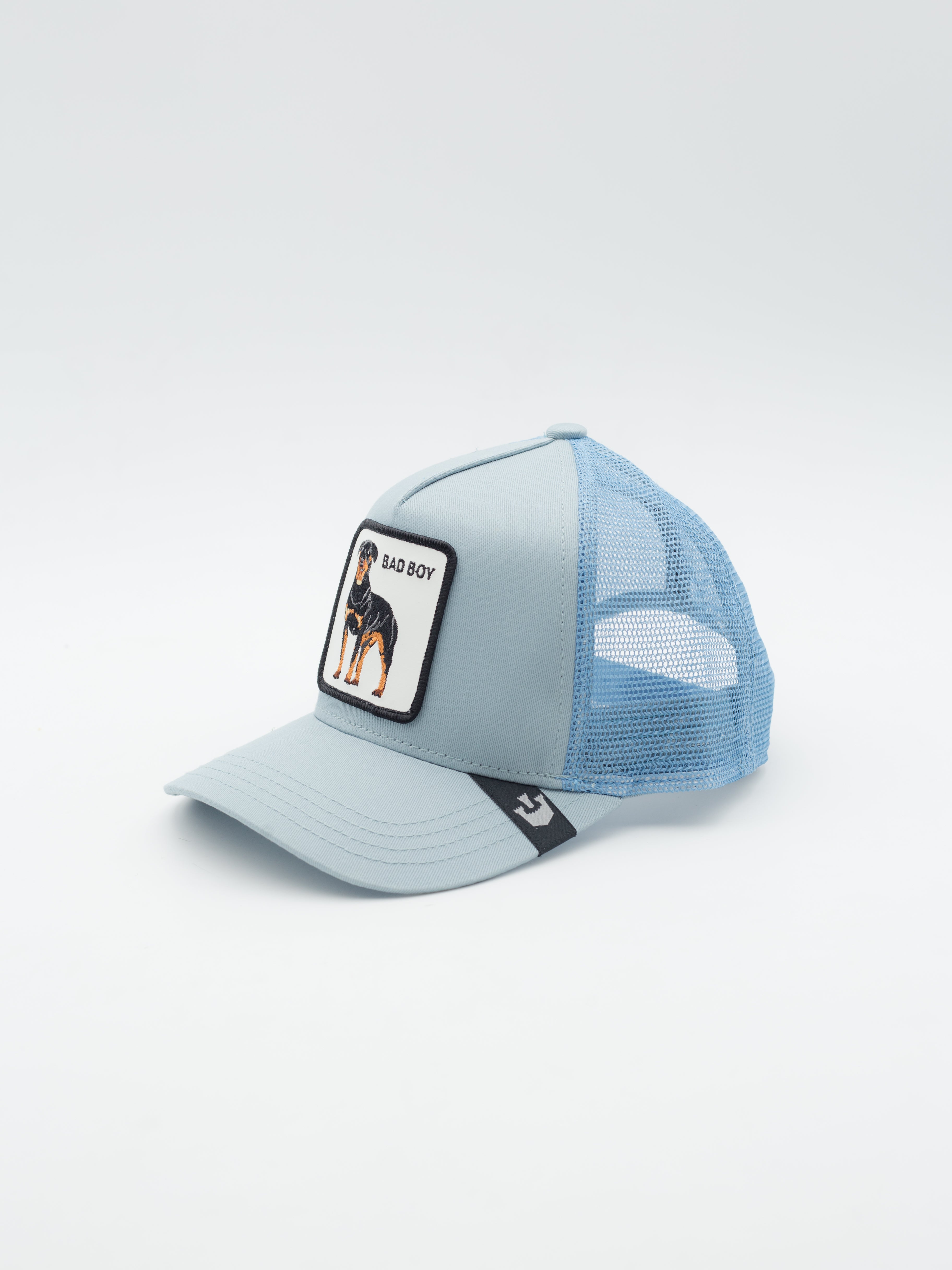 Bad Boy Truckin Blue